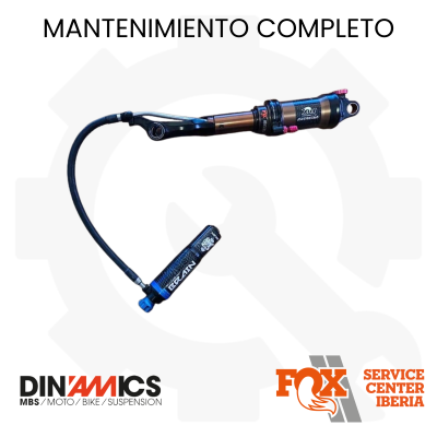 Mantenimiento FOX BRAIN – Completo